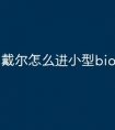戴尔怎么进小型bios