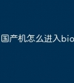 国产机怎么进入bios