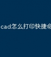 cad怎么打印快捷命令
