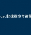 cad快捷键命令镜像怎么用