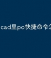 cad里po快捷命令怎么用