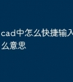cad中怎么快捷输入命令是什么意思