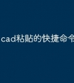 cad粘贴的快捷命令怎么用