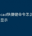cad快捷键命令怎么在图标上显示