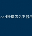 cad快捷怎么不显示命令行