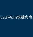 cad中dm快捷命令怎么使用