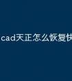 cad天正怎么恢复快捷命令栏