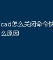 cad怎么关闭命令快捷键是什么原因