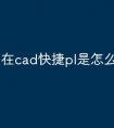 在cad快捷pl是怎么命令