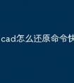 cad怎么还原命令快捷键的