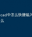 cad中怎么快捷输入命令是什么