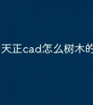 天正cad怎么树木的快捷命令