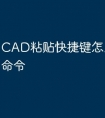 CAD粘贴快捷键怎么是未知命令