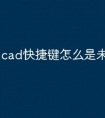 cad快捷键怎么是未知命令的