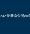cad快捷命令键co怎么复制