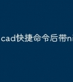 cad快捷命令后带nil怎么处理