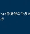 cad快捷键命令怎么调出来坐标