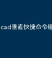 cad垂直快捷命令键p怎么用