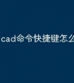 cad命令快捷键怎么使用不了