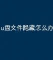 u盘文件隐藏怎么办