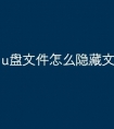 u盘文件怎么隐藏文件