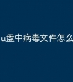 u盘中病毒文件怎么恢复