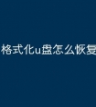 格式化u盘怎么恢复文件
