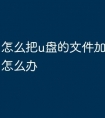 怎么把u盘的文件加密码忘了怎么办