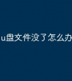 u盘文件没了怎么办