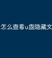 怎么查看u盘隐藏文件夹