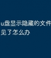u盘显示隐藏的文件夹图标不见了怎么办