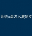 系统u盘怎么复制文件