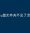 u盘文件夹不见了怎么办