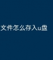 文件怎么存入u盘