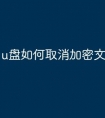 u盘如何取消加密文件