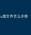 u盘文件怎么分类