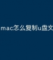 mac怎么复制u盘文件