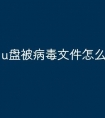 u盘被病毒文件怎么恢复
