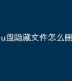 u盘隐藏文件怎么删除