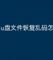 u盘文件恢复乱码怎么办