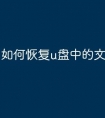 如何恢复u盘中的文件