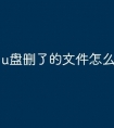 u盘删了的文件怎么恢复