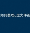如何整理u盘文件视频