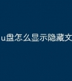 u盘怎么显示隐藏文件夹
