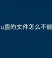 u盘的文件怎么不能删除