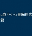 u盘不小心删除的文件怎么恢复