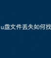 u盘文件丢失如何找回