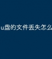 u盘的文件丢失怎么办