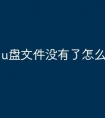 u盘文件没有了怎么办啊