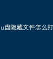 u盘隐藏文件怎么打开